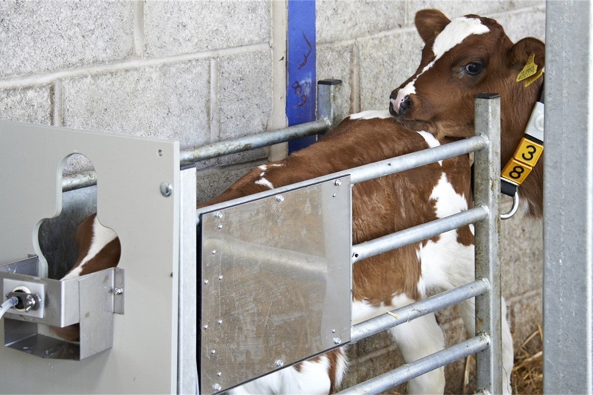 New grant funding available for computerised calf feeders an article