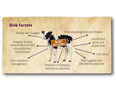 Technical bulletin: Reducing the Risk of Bloat in the Young Calf