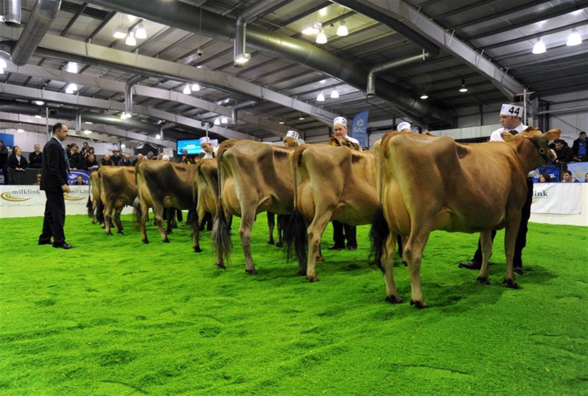 8 TOP DAIRY FARMING EVENTS TO ATTEND IN 2019/2020