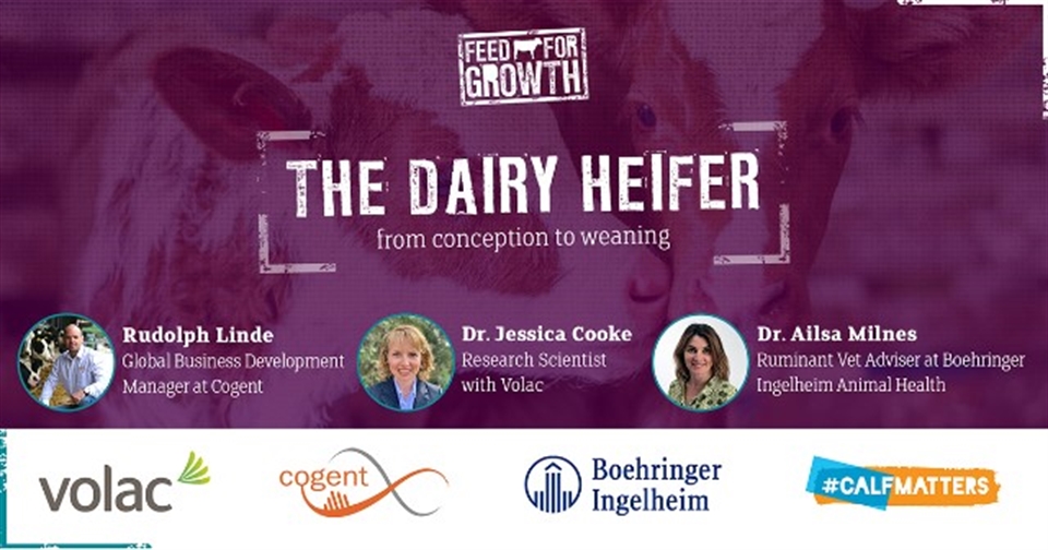 WEBINAR: The Dairy Heifer – from Conception to Weaning