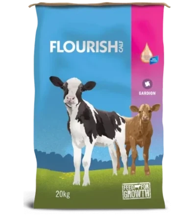 Flourish Calf