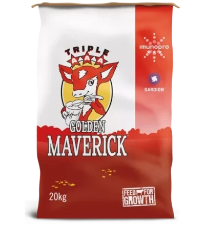 Golden Maverick