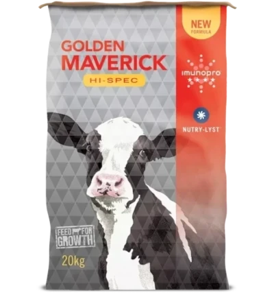 Golden Maverick Hi-Spec