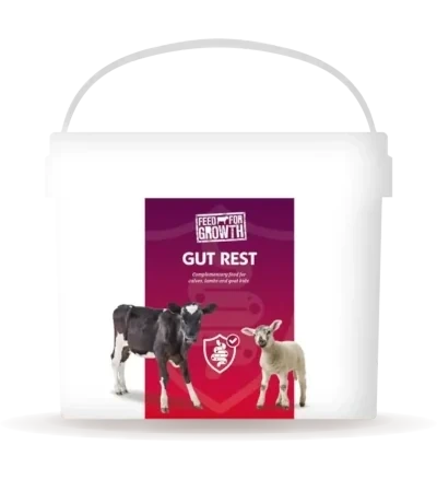 Gut Rest