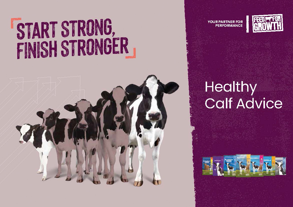 UK - Healthy Calf Advice