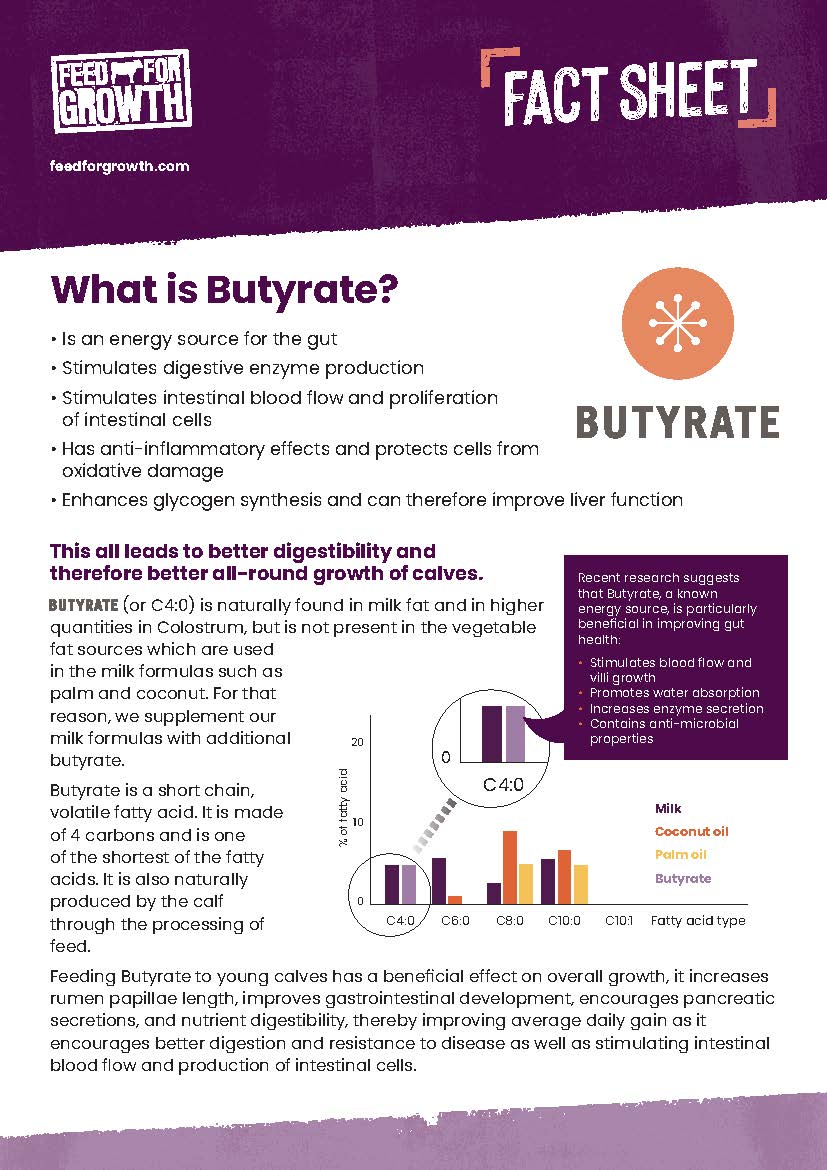 Butyrate Fact Sheet
