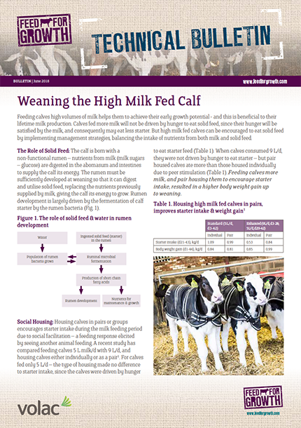 Technical Bulletin - Weaning the high milk fed calf