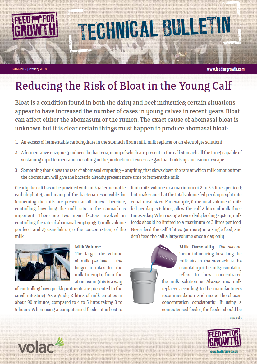 Technical Bulletin - Reducing the risk of Bloat in the young calf