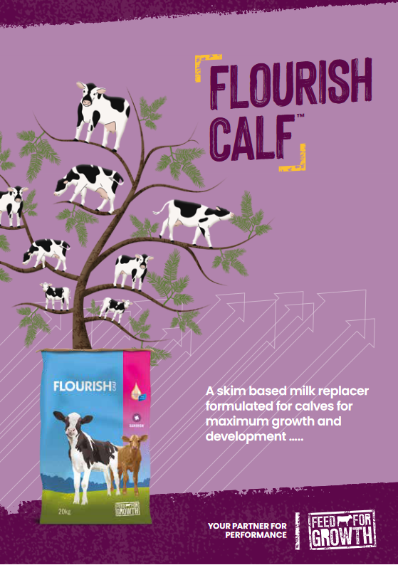 Flourish Calf Leaflet