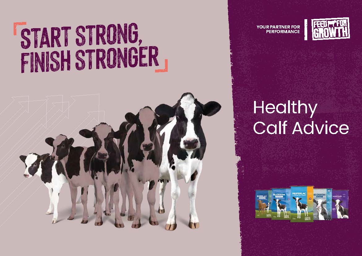 UK - Healthy Calf Advice