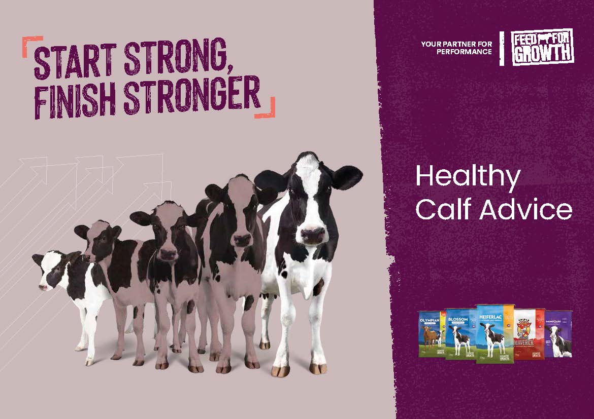 IRE- Healthy Calf Advice