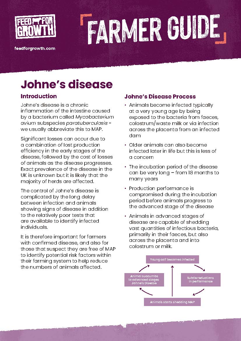 Health: Farmer guide - Johne’s Disease