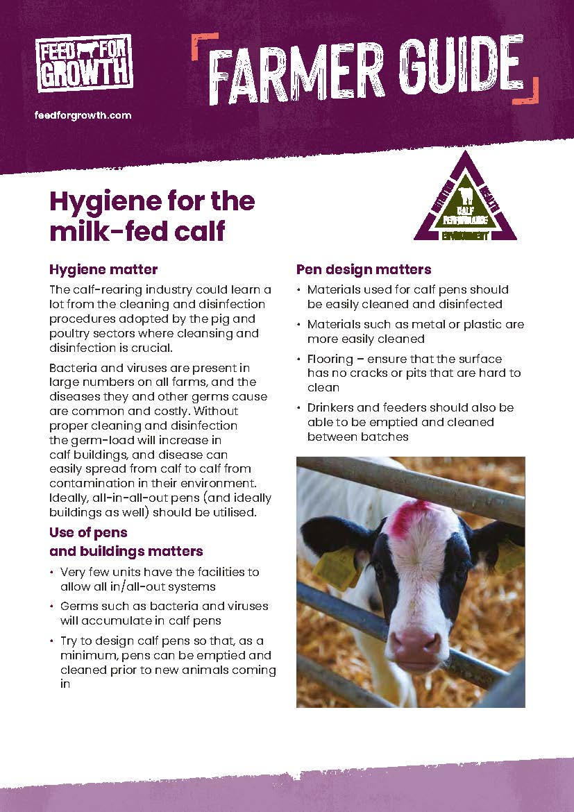 Environment: Farmer guide - Hygiene for the Milk-fed Calf