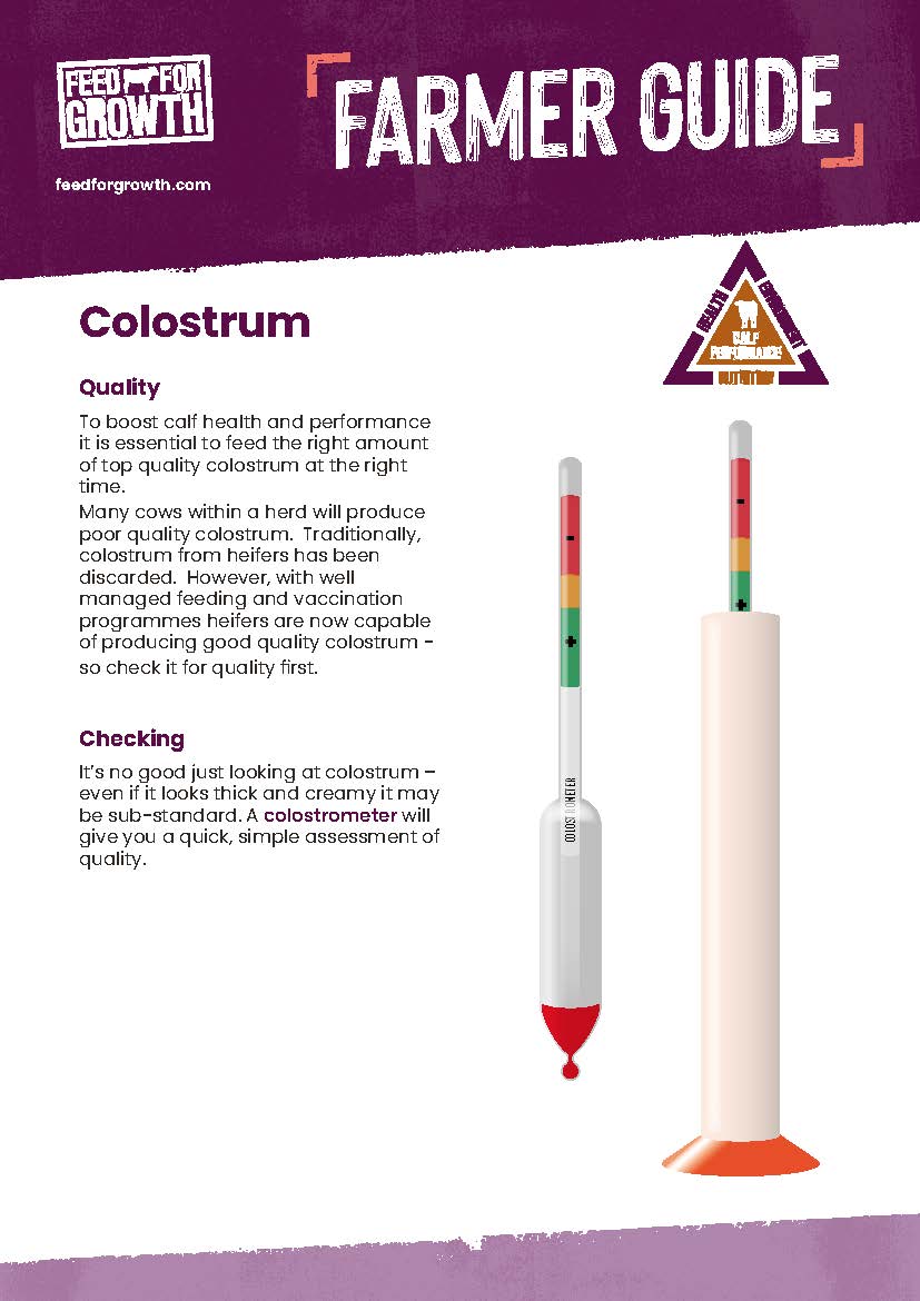 Nutrition: Farmers guide - Colostrum