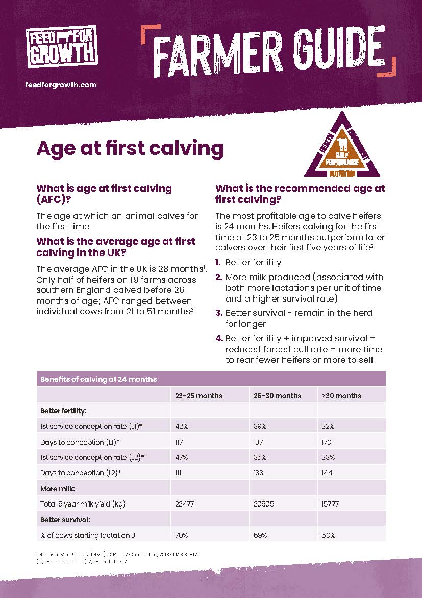 Nutrition: Farmers guide - Age at First Calving