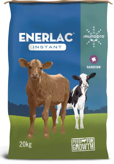Enerlac Instant