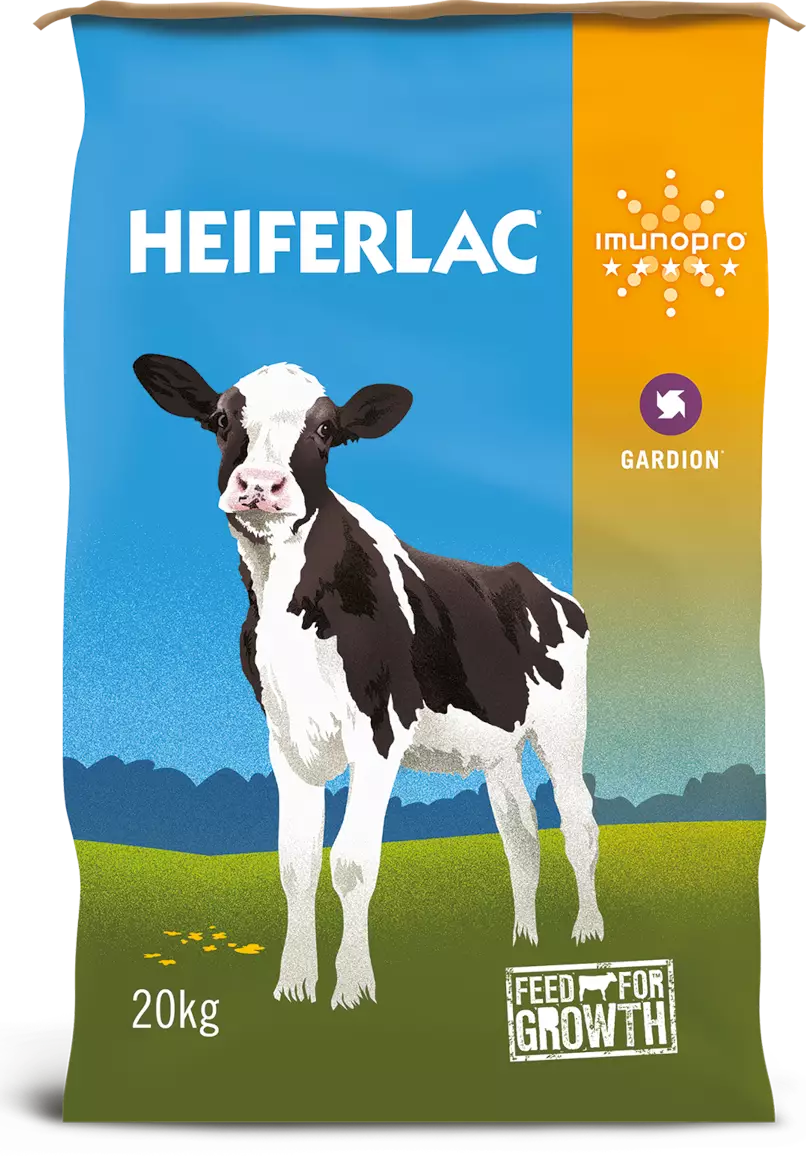 Heiferlac
