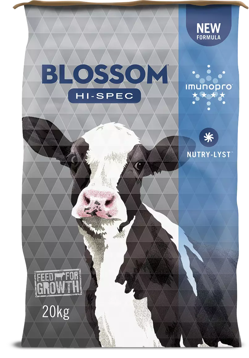 Blossom Hi-Spec