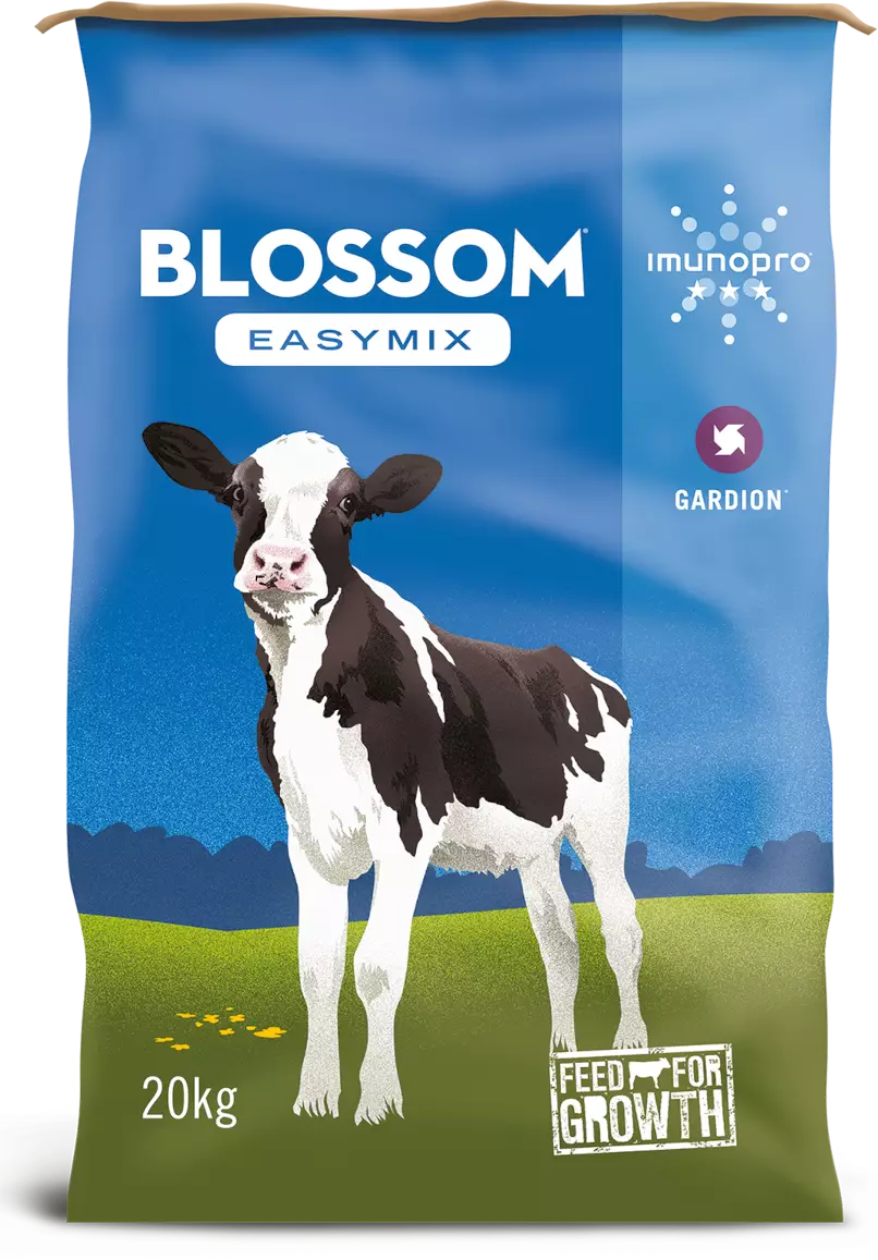 Blossom Easymix