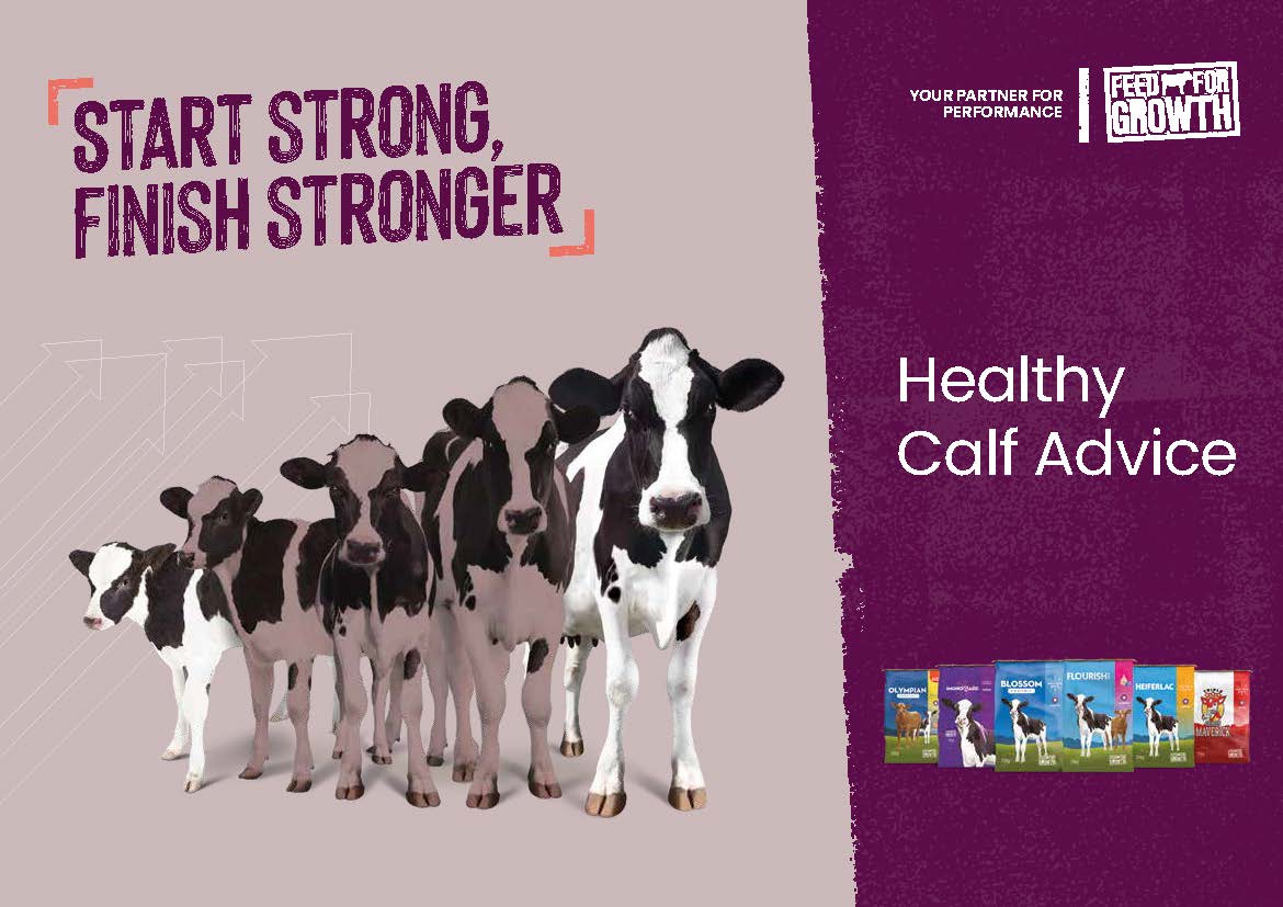 IRE- Healthy Calf Advice