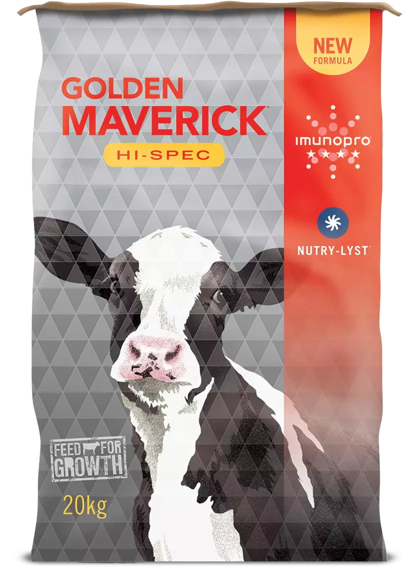 Golden Maverick Hi-Spec