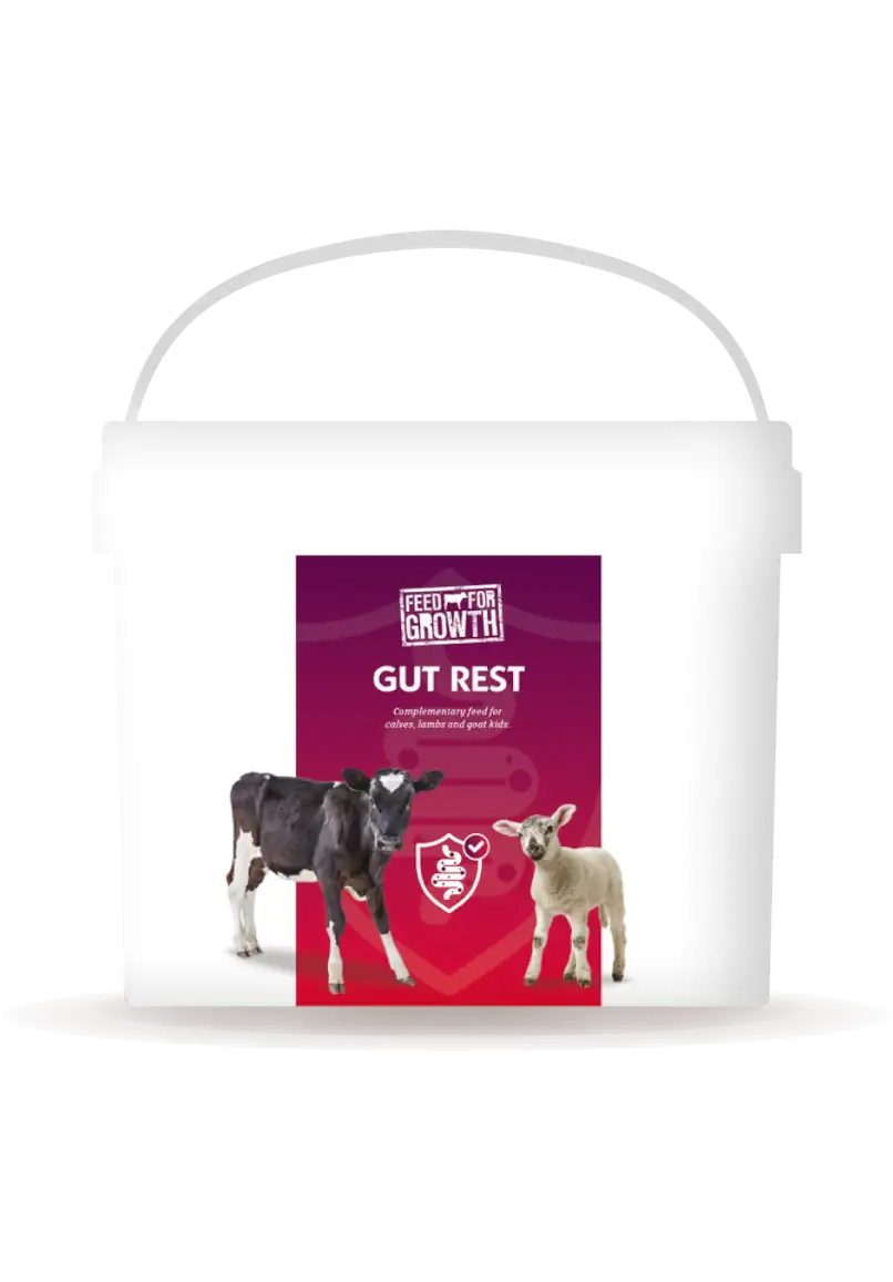 Gut Rest